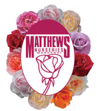 Sarjeant Rose - A Friends of the Sarjeant Project