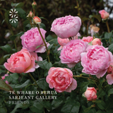 Sarjeant Rose - A Friends of the Sarjeant Project