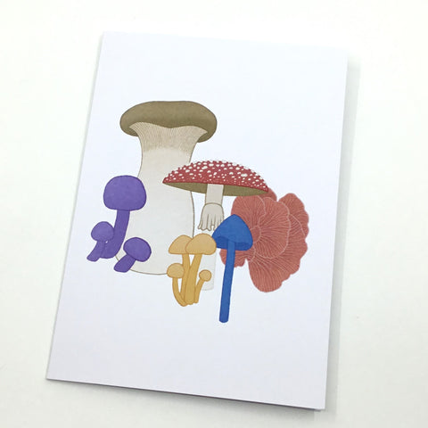 Mushrooms of Aotearoa Card