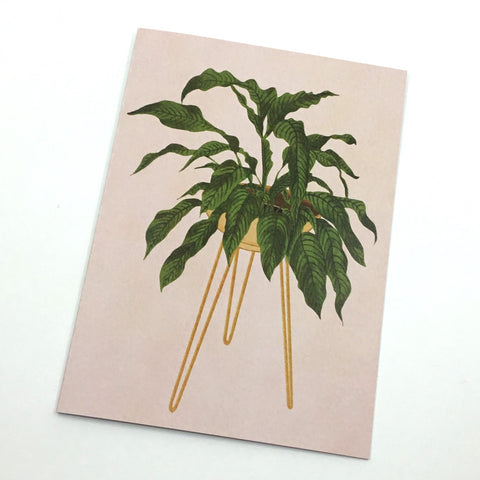 Peace Lily Planter Card