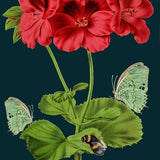 Bee & Green Butterfly Card