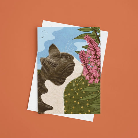 Hebe Cat Card