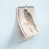 Erin Forsyth - 2027 Wall Callendar
