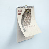 Erin Forsyth - 2027 Wall Callendar