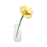 Golden Poppy