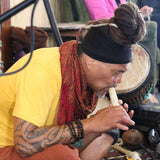 Te Kōpere: Puanga Workshop  16 July 11am - 12pm session