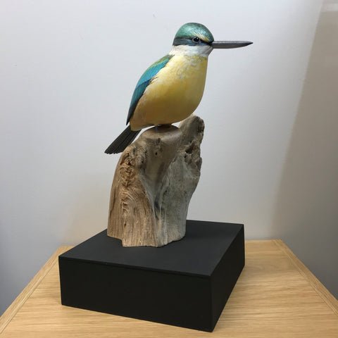 Kingfisher/Kotare Bird