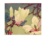 Magnolia Card