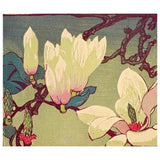 Magnolia Card