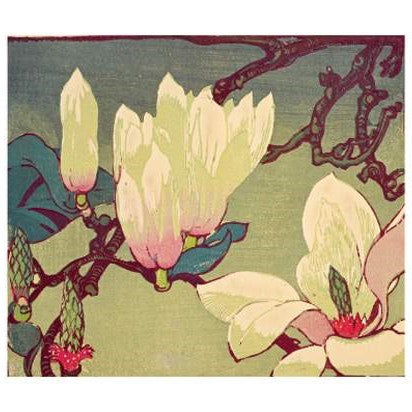 Magnolia Card