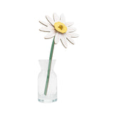 Meadow Daisy