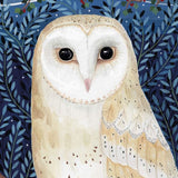 Moonlit Owl - Barn Owl