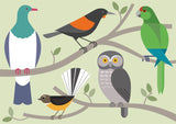 New Zealand Birds Card