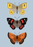 New Zealand Butterflies Card