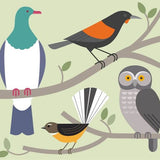 New Zealand Birds Card