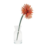 Orange Dahlia