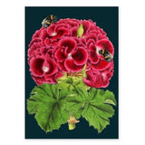 Geranium Card