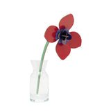 Red Anemone