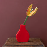 Sunset Tulip