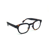Izipizi: Reading Collection C