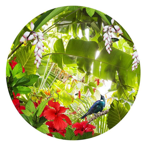 Tui Paradise Card