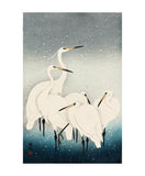Herons in the Snow Card