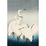 Herons in the Snow Card