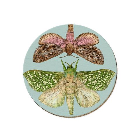 NZ Moth Coaster