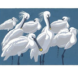 Spoonbills Card